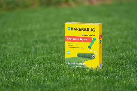 SOS Lawn Repair 4.jpg